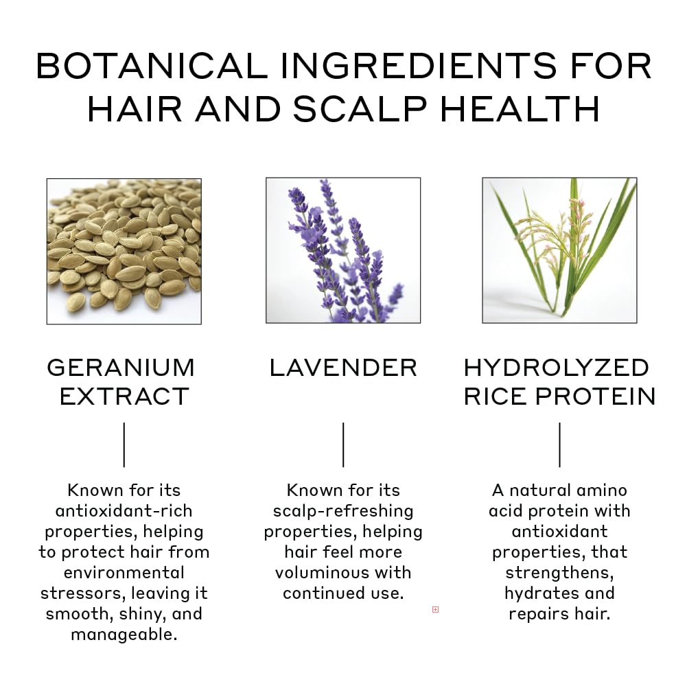 ZENAGEN Volume Foam | Lightweight Densifier + Volumizer, Boosts Hair Volume & Thickness, Provides Lightweight Hold, Nourishes & Strengthens Hair, Non-Greasy Plant-Based, Vegan, All Hair Types
