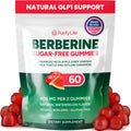 GLP-1 Support Supplement, Sugar-Free Berberine Complex Gummies with Ceylon Cinnamon, Milk Thistle, and ACV [AMPK Metabolic Activator] Berberine Supplement for Appetite Support and Metabolic Health