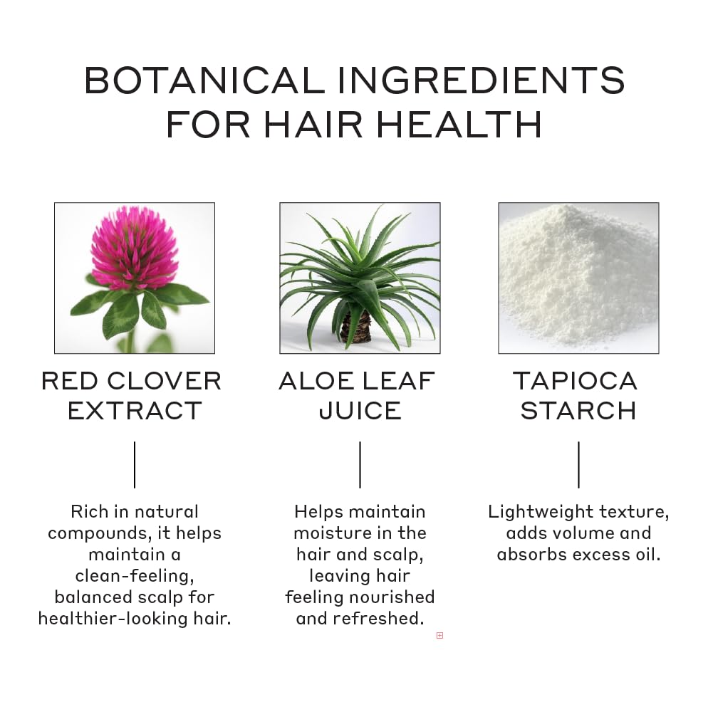 ZENAGEN Texturizing Powder | Texturizer + Root Volumizer, Adds Instant Volume & Texture, Absorbs Oil For A Refreshed Look, Lightweight Residue-Free Formula, Vegan, All Hair Types, 9 g