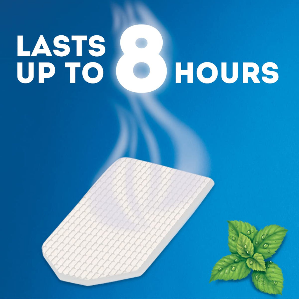 Vicks VapoPads– Soothing Menthol Vapor Pads for Vicks Humidifiers, Vaporizers, Waterless Vaporizers, and Plug-Ins, VSP-19, 6 Count (Pack of 1)