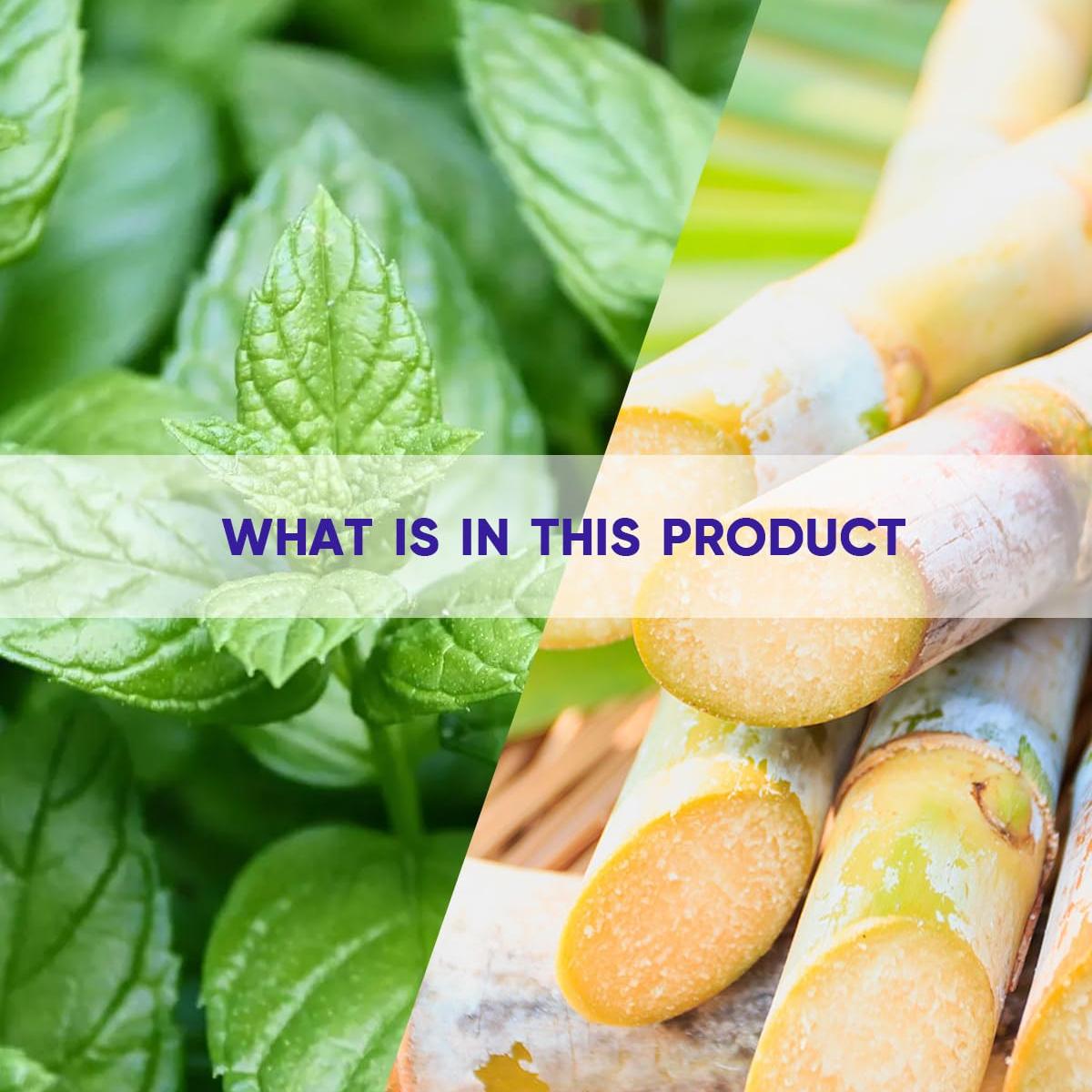 MySmile Teeth Whitening Pen 30+ Treatment Enamel Safe Tooth Whitening Gel for Teeth Sensitive-10 Min Fast Whitening Teeth-Helps to Remove Stains from Coffee, Smoking, Wines-Mint Flavor