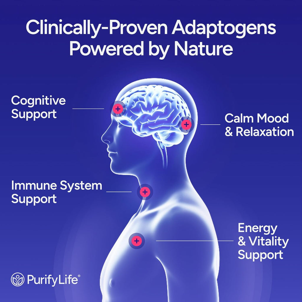 Sugar-Free Mushroom Complex Gummies - Potent 10x Mushroom Supplement with Lions Mane, Chaga, Reishi, Cordyceps Natural Stress Support, Calm Gummies, Nootropic Supplement, No Sugar or Pills