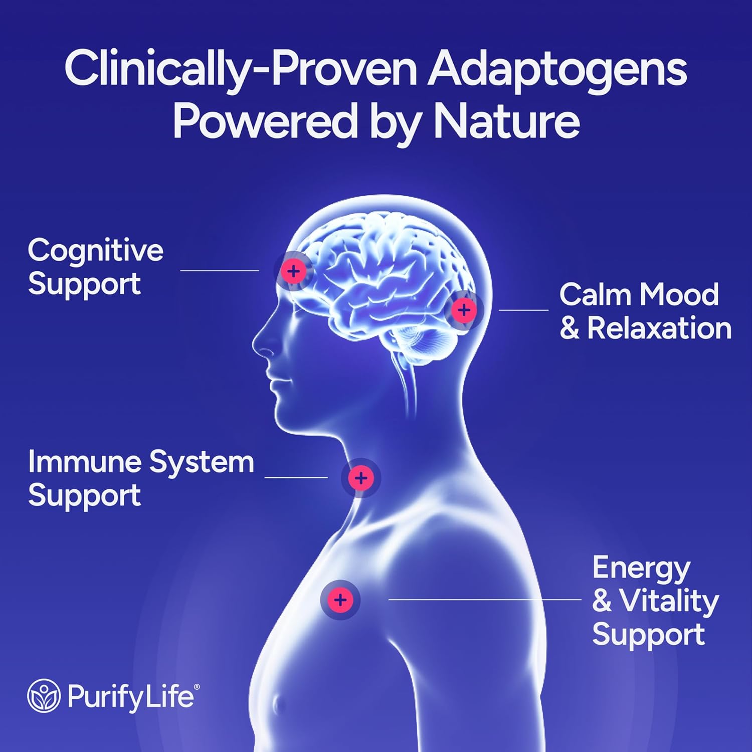 Sugar-Free Mushroom Complex Gummies - Potent 10x Mushroom Supplement with Lions Mane, Chaga, Reishi, Cordyceps Natural Stress Support, Calm Gummies, Nootropic Supplement, No Sugar or Pills