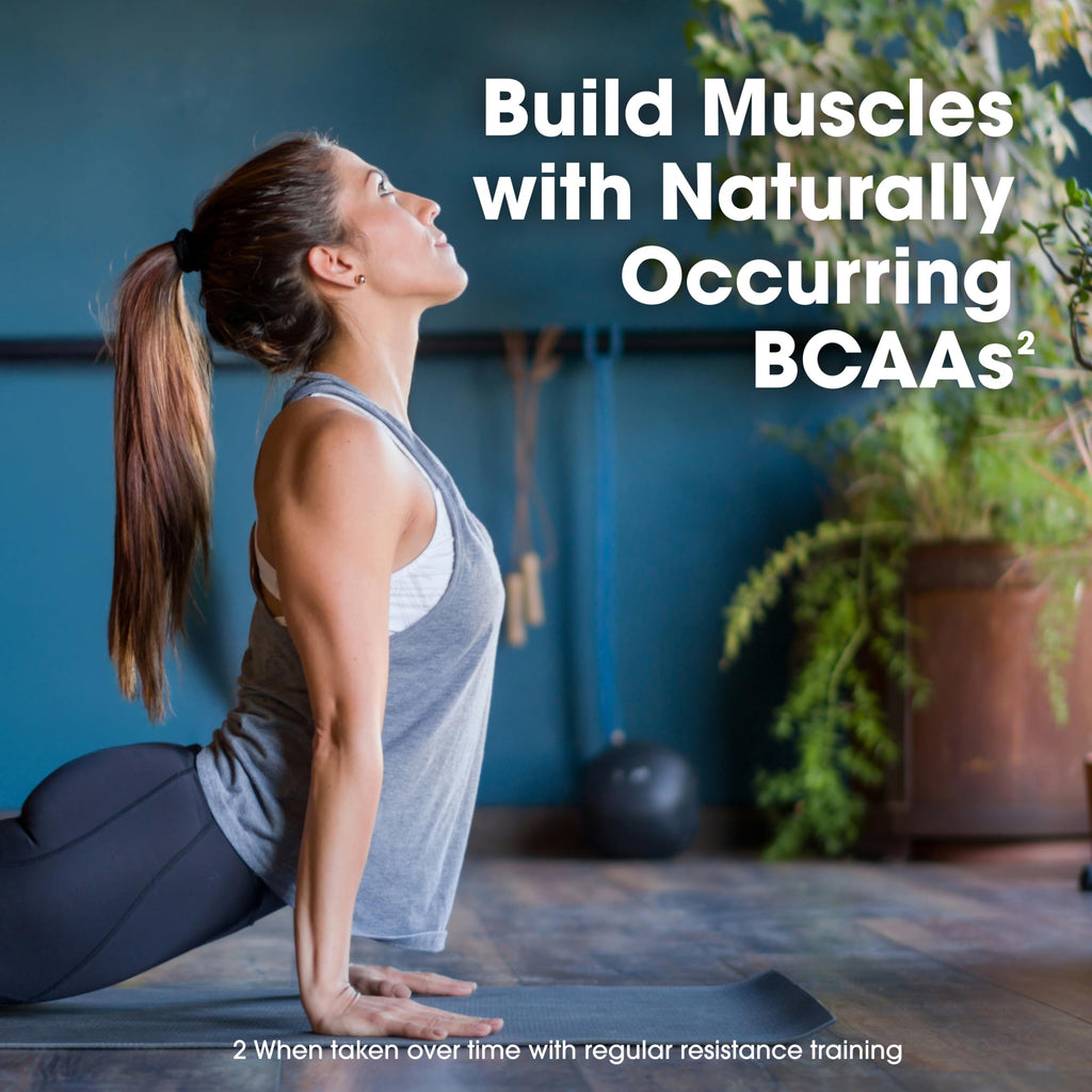 Optimum Nutrition Gold Standard 100% Whey Protein Powder, Vanilla Ice Cream, 2 Pound (Packaging May Vary)