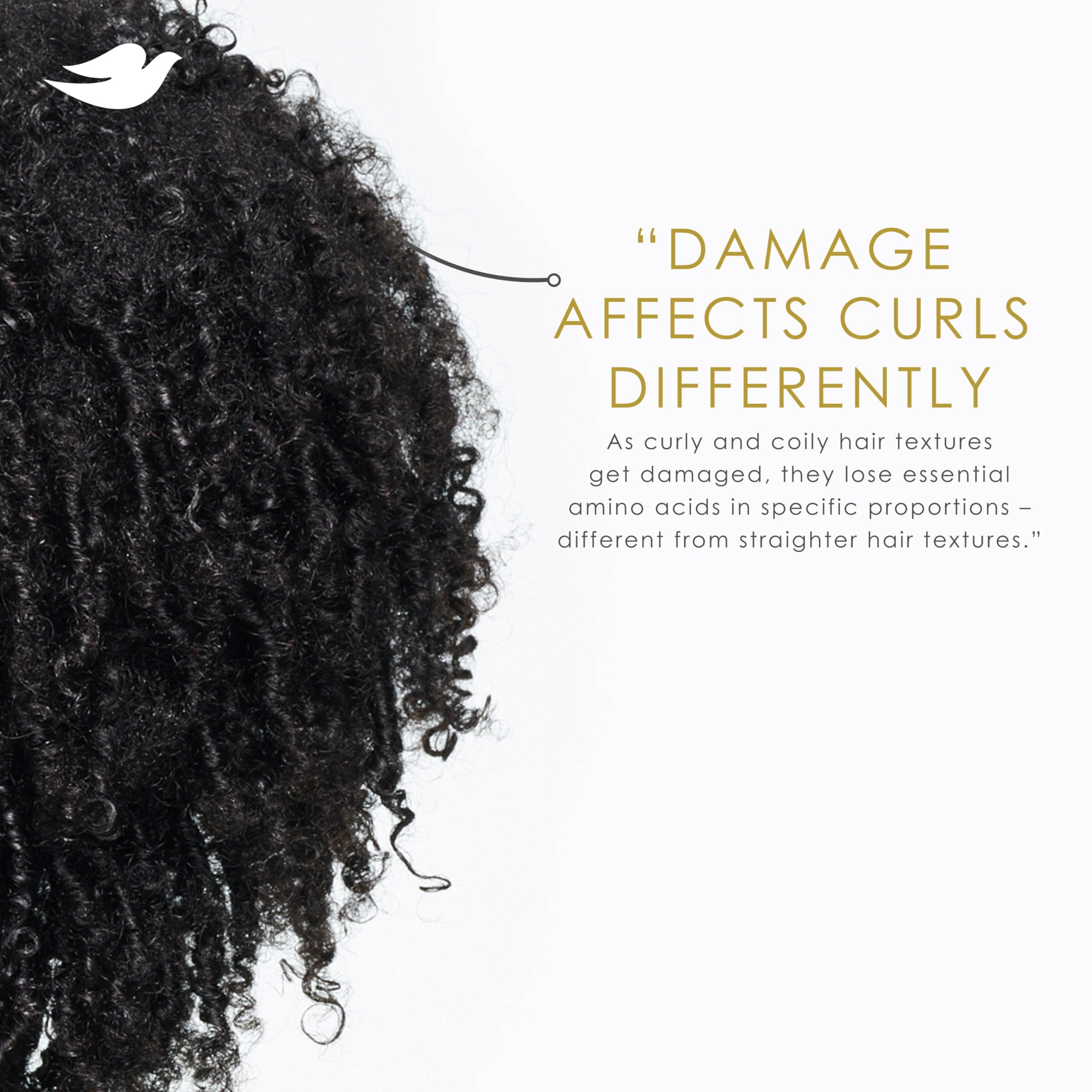 Dove Hair Intensive Repair 10in1 Serum Mask for Damaged Hair with Bio-Protein Care Technology and Amino Serum 9.2 fl oz