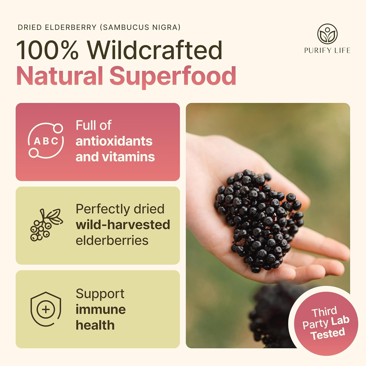 Dried Elderberries - 1lb Bulk - Hand-Sorted, Wildcrafted, Natural, Non-GMO, Whole European Immune System Support for Black Elderberry Syrup, Gummies, Jelly, Tea, Wine, Raw Sambucus, One Pound