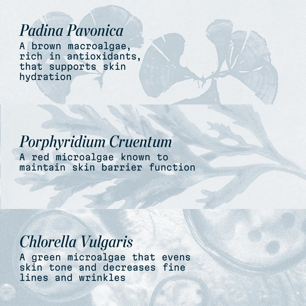 ELEMIS Pro-Collagen Marine Cream, Lightweight Anti-Wrinkle Daily Facial Moisturizer